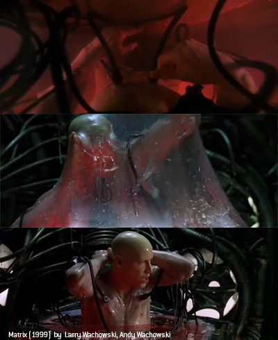 the matrix