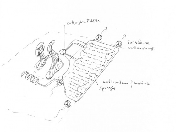 underwater_sc1