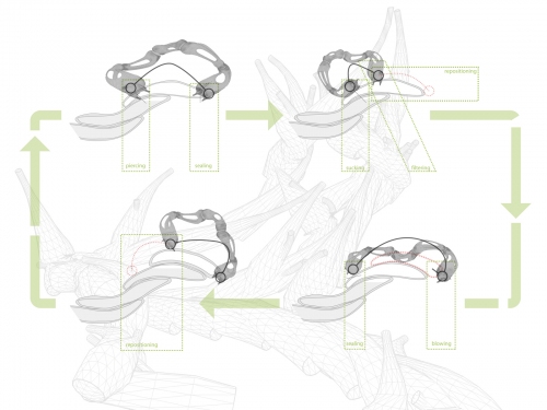 17xiiworm-diagram2 17xiiworm-diagram2